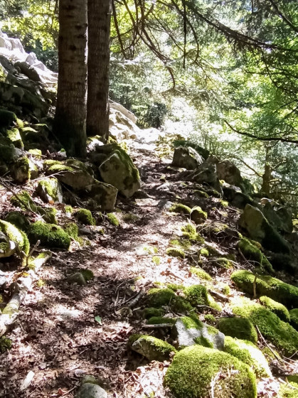 Sentier et moraines à Mittlach