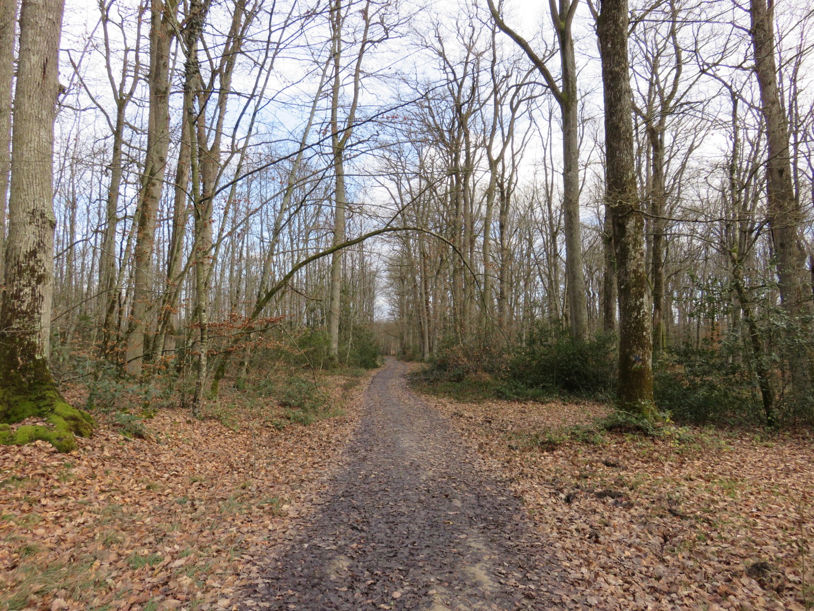 Photo Chemin de traverse