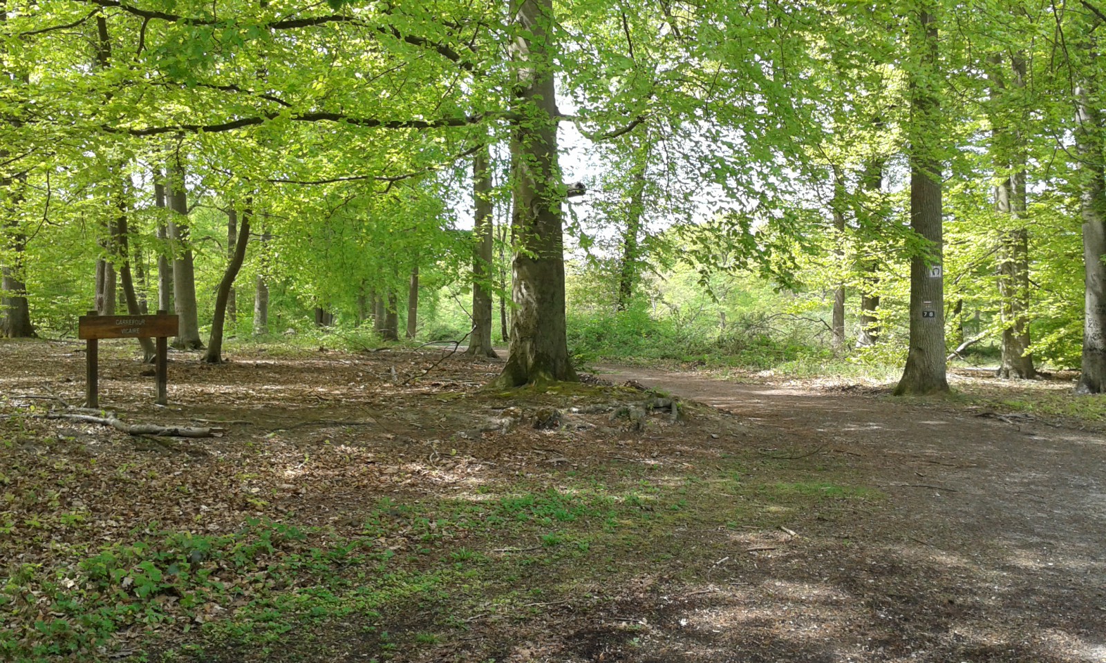 rencontre foret de lisle adam