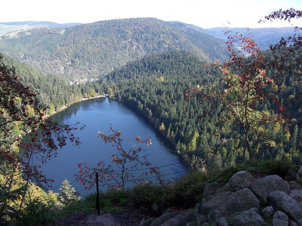Photo La Lac des Corbeaux
