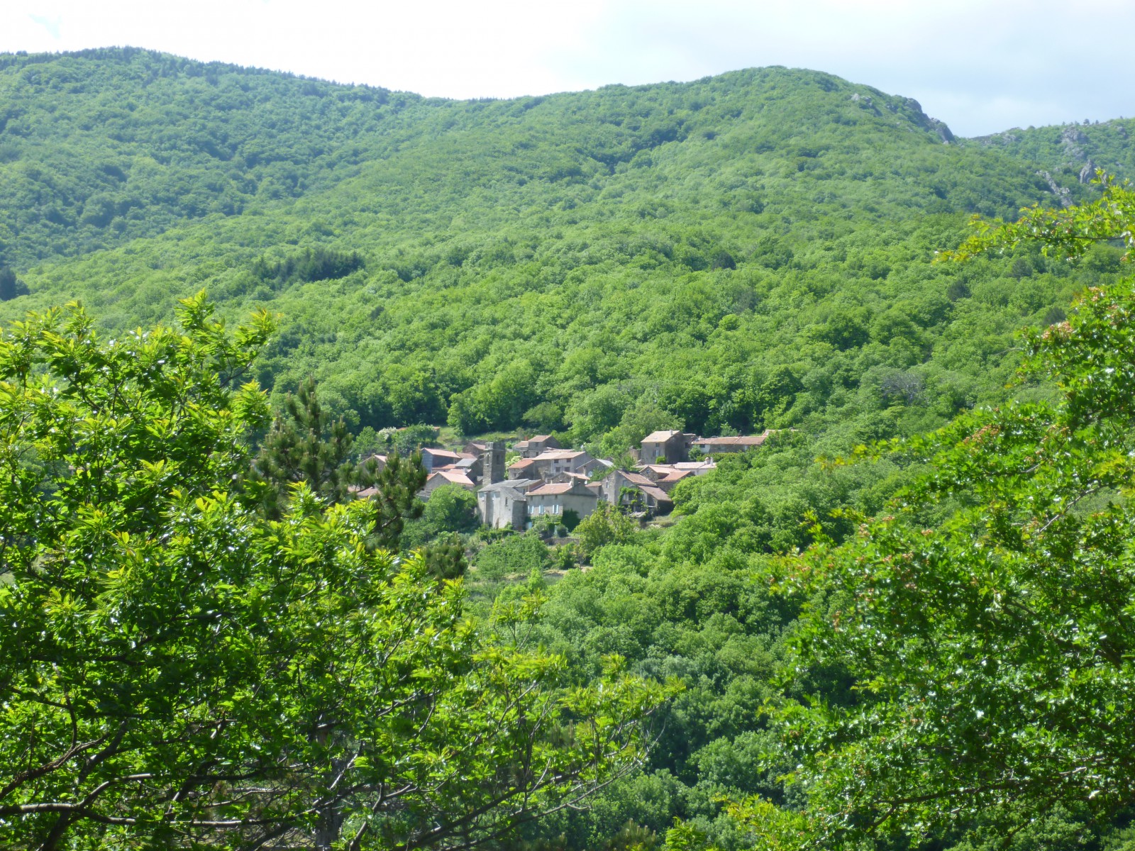 langlade JungleKey.fr Image