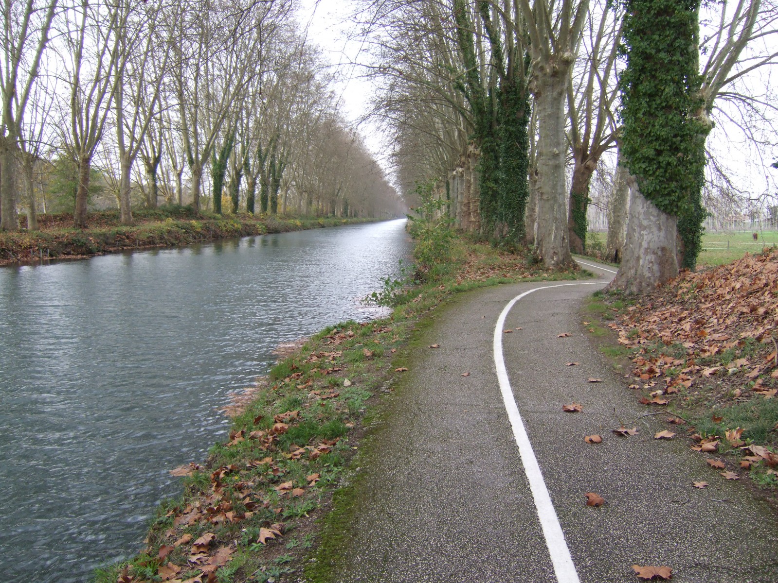 Photo Le Canal latéral à la Garonne