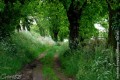 Bocage Vend&eacute;en
