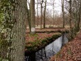 Des rochers de Cuvier Chatillon à Bois-le-Roi et retour Des rochers de Cuvier Chatillon à Bois-le-Roi et retour