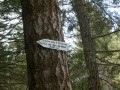 Chemin de la trois&egrave;me source