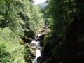 Les Pertes de l'Ain Les Pertes de l'Ain
