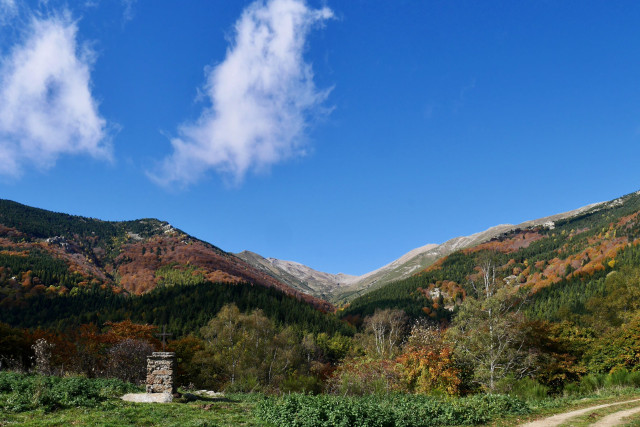 lemarcheur65