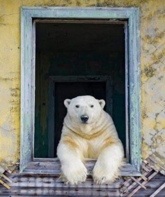 Rando de l'Ours