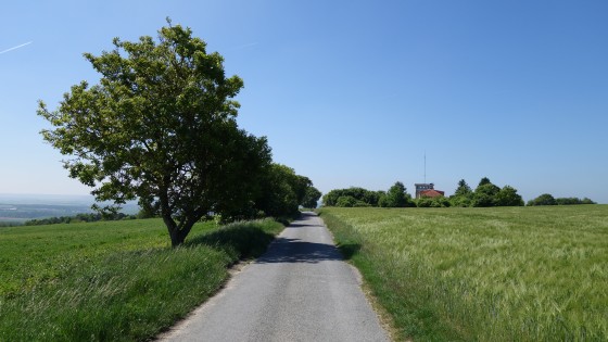 005-Antenne et Noyers