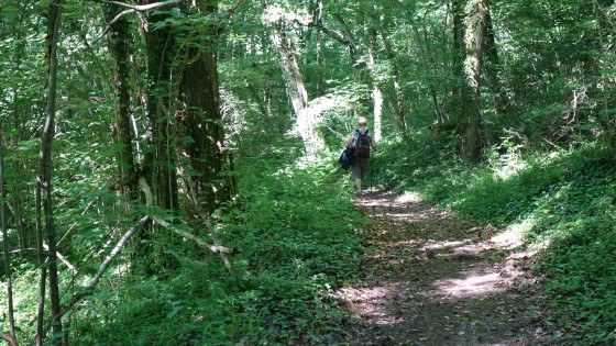 004-Sous-Bois