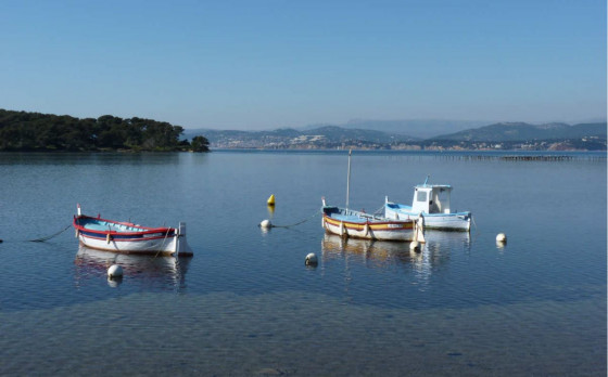 Quiétude de la lagune