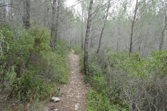 Le premier sentier