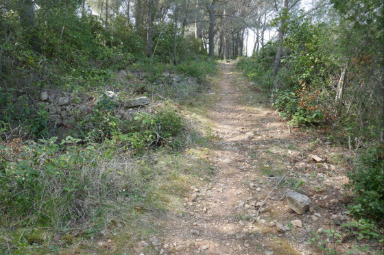 Restanques à l\'abandon