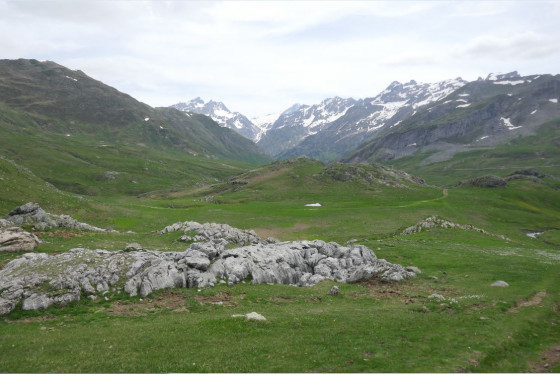Rochers moutonnés