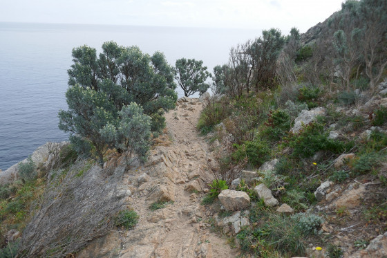 Sentier littoral vers le cap Camarat
