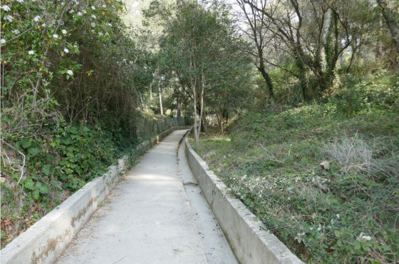 Sentier