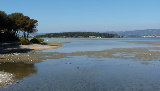 La lagune à marée basse