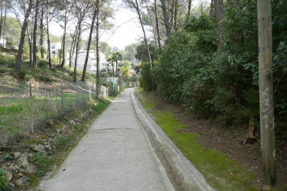 Sentier (suite)