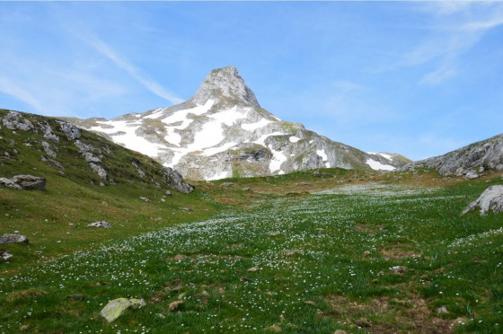 Pène de la Glère