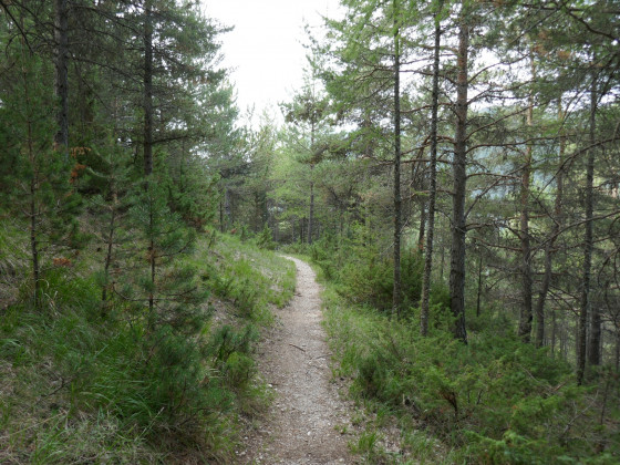 Sentier vers Rabioux