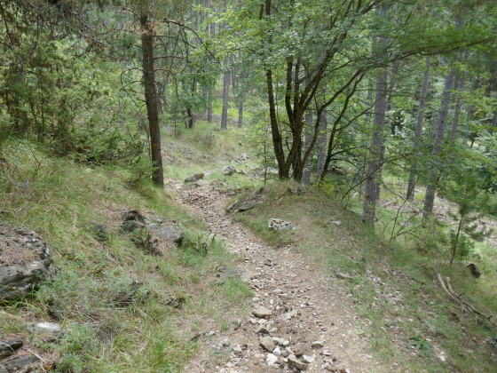 Sentier vers Rabioux