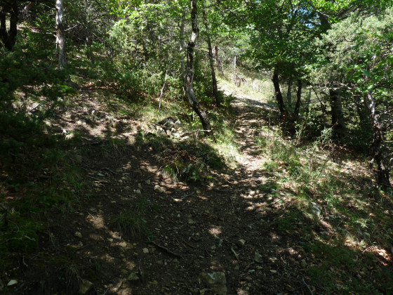 Bifurcation au départ