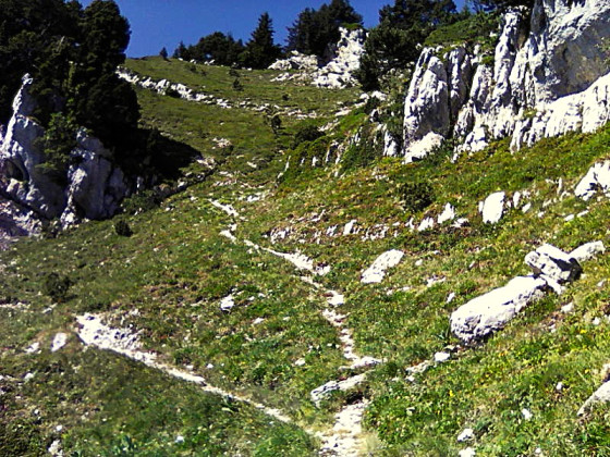 1 Le sentier vers le Pas de Montbrun