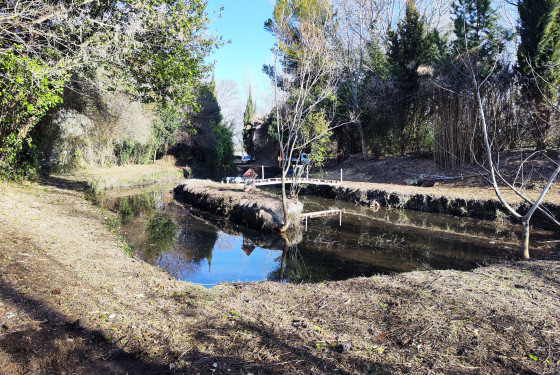 10. Etang de Saint Tronquet
