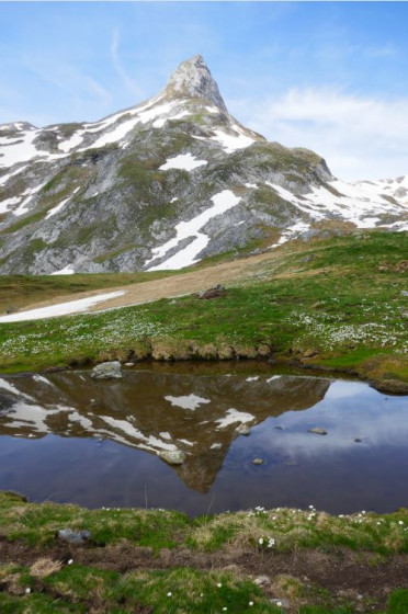 Reflet