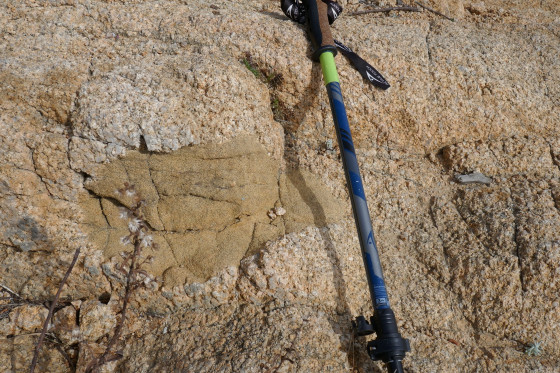 Enclave dans le granite du cap Camarat