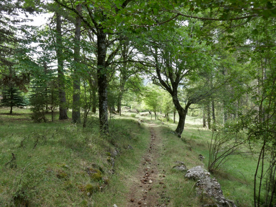 Fraicheur à proximité de Rabioux