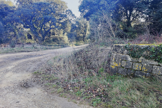 12. Intersection chemin de Saint Tronquet / chemin en terre