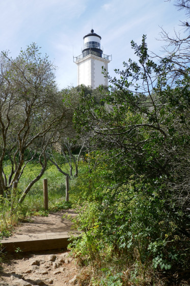 Le phare de Camarat