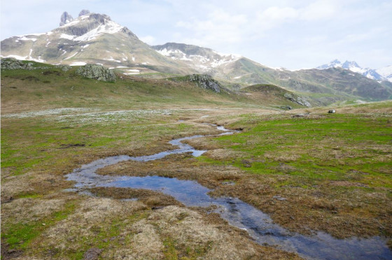 Eaux tortes