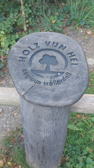 Rep&egrave;re