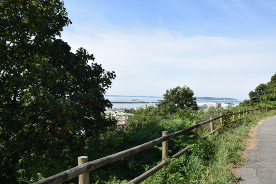 15-Brest-CheminMerleBlanc-RadeDeBrest