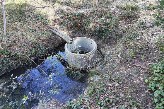 15. Source de l\'étang de la Garriguette