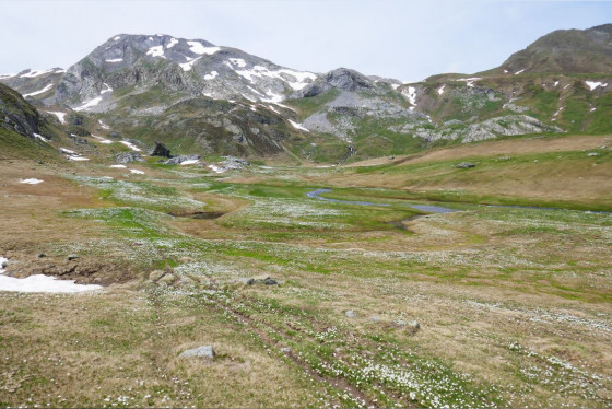 Le ruisseau de la Glère