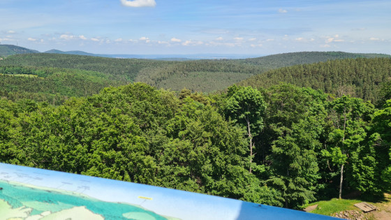 Panorama depuis la tour du ch&acirc;teau de Wangenbourg