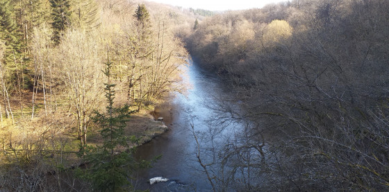 1er Point de Vue sur la Semois