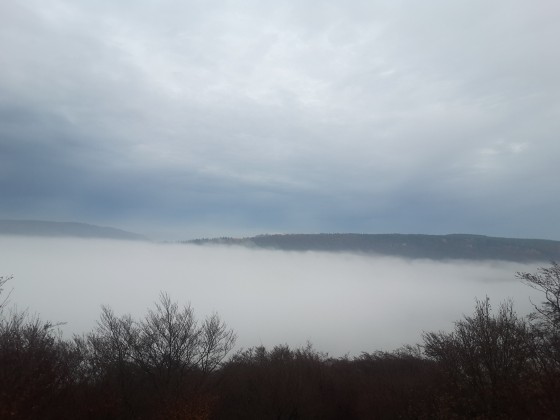 1er point de vue
