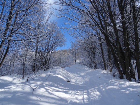 1&egrave;re partie du sentier