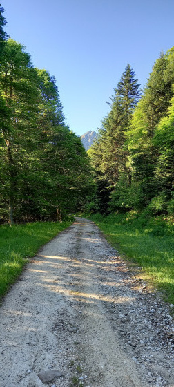 1ère vue sur la Dent d\'Orlu