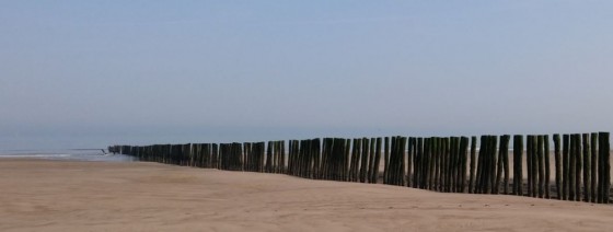 20170328 Le Platier d'Oye 1