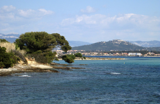 La lagune du Brusc