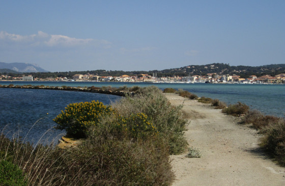 Face au Brusc