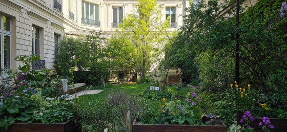26, rue Chaptal - H&ocirc;tel Thiebaut
