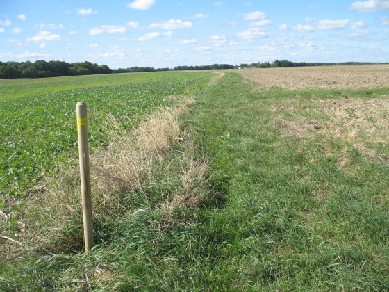 Chemin des champs