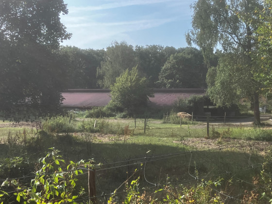 2e espace de poneys