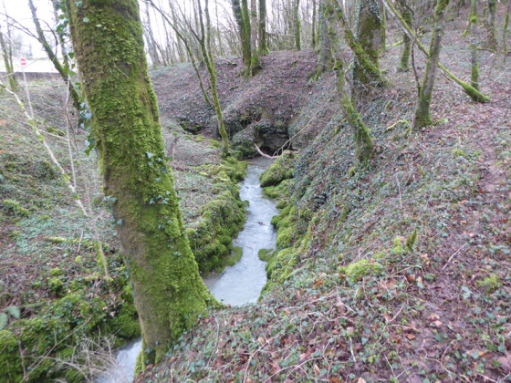 2e source du Veuvey